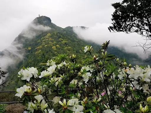 giá vé vào vườn quốc gia Ba Vì